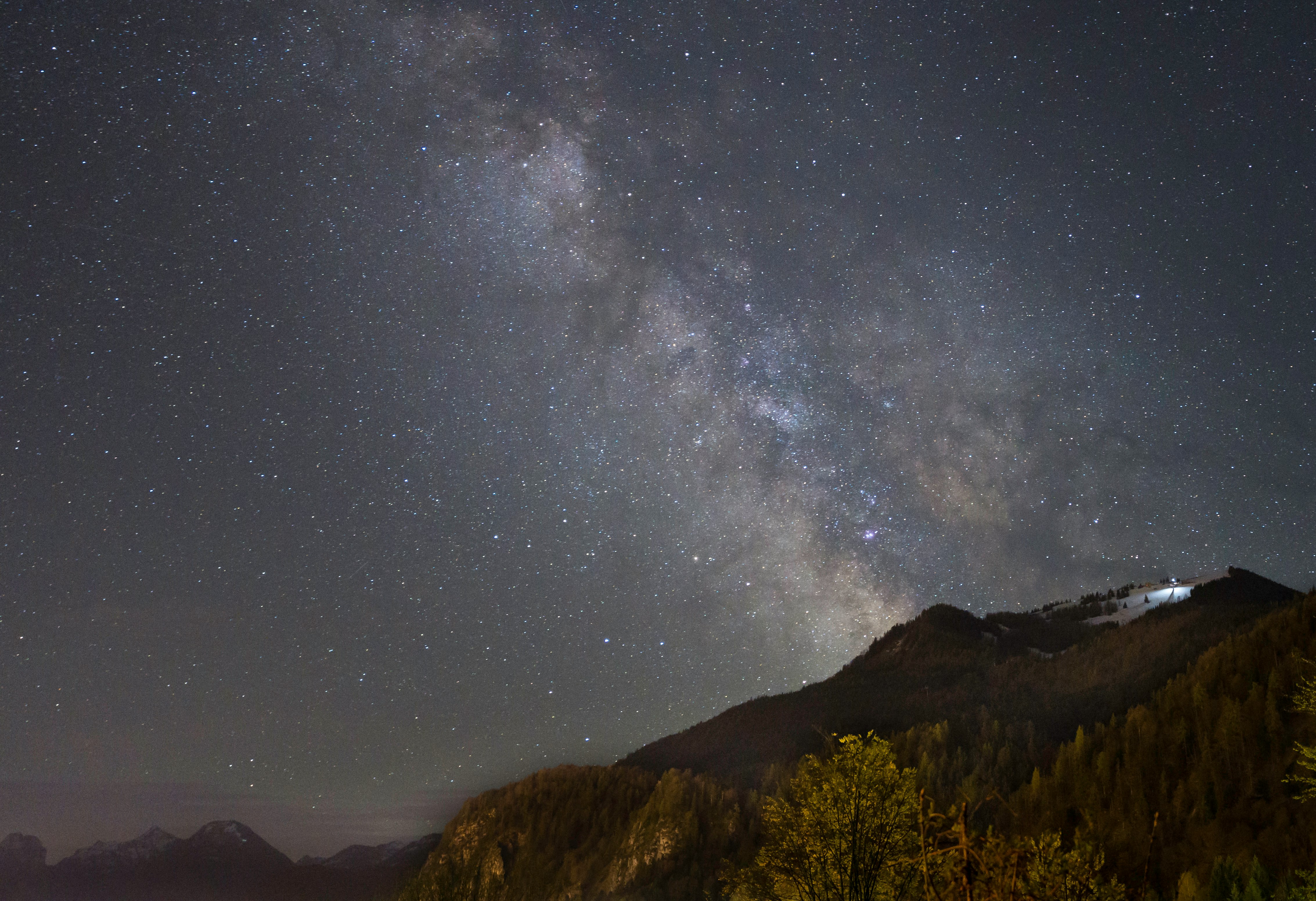 green trees on mountain under starry night